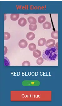 Hematology quiz App Screen Shot 1