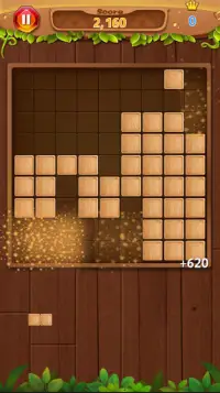 Wood Block Puzzle Screen Shot 0