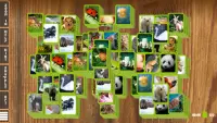 Mahjong Fauna-Animal Solitaire Screen Shot 2