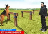 Hundetraining: Hundespiele 3D Screen Shot 13