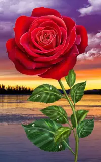 HD Rose Flowers Live Wallpaper Screen Shot 4