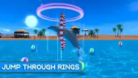 Dolphin Show Fun Game Screen Shot 2