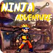 Ninja Advanture