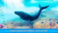 Humpback Whale Simulator - Fish Life Game Screen Shot 0
