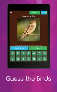 Birds guess Screen Shot 15