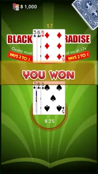 blackjack raj Screen Shot 5
