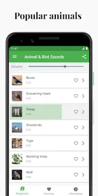 Bird and Animal sounds Screen Shot 2