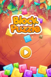 Block Puzzle Game 2019 - Jewel Style Block Puzzle Screen Shot 0