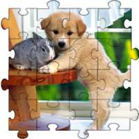 Puppies Jigsaw Puzzles