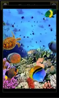 Tile Puzzle - Ocean Life Screen Shot 2