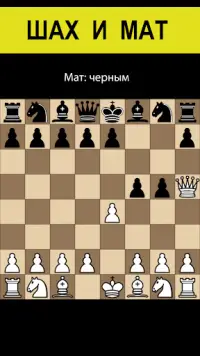 Шахматы без интернета на двоих Screen Shot 2