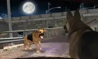 City Gangster Dog San Andreas Crime Street Fight Screen Shot 2