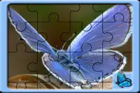 Butterfly Jigsaw Puzzles Screen Shot 0