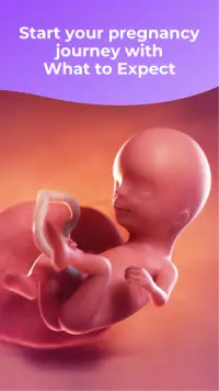 Pregnancy Tracker & Baby App Screen Shot 0