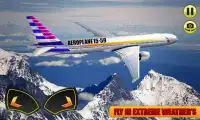 Airplane Flight Fly 3D Screen Shot 2
