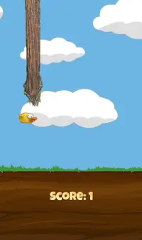 ReynaBirds – Bird Adventure Game Screen Shot 0