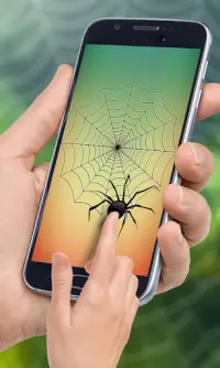 Spider Web Out Screen Shot 0