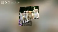 Cute Kittens Puzzle Screen Shot 11