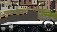 Parking Master - 3D Screen Shot 2