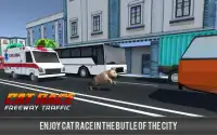 Corrida de gato corida ocupada Screen Shot 4