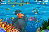 Fish Big Eat Fish Small Screen Shot 4