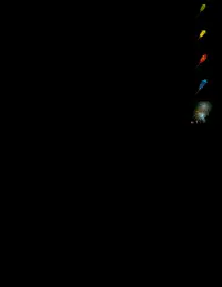 Awesome Fireworks Simulator Screen Shot 0