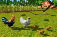 Rooster Simulator - Chick Life Screen Shot 7