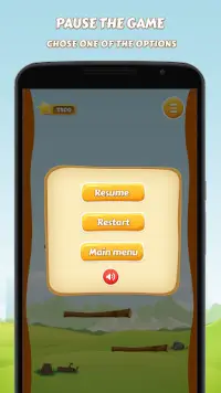 BalanceIt – Crazy Game Screen Shot 3