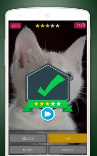 Scratch Game: Animals Quiz Screen Shot 6