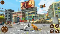 Stayer Cat Simulator: Lost Pet Screen Shot 1
