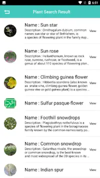 Plant Identification - Plant, Leaf, Flower Screen Shot 4