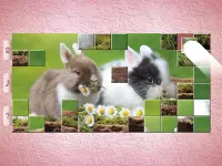 Little Animal Puzzles - Drag & Swap Screen Shot 9