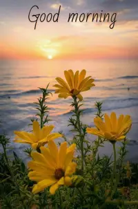 Good morning Images Gifs, Flowers Roses wallpapers Screen Shot 6