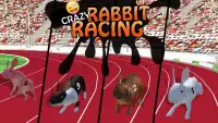 Rabbit Racing Adventure 3D Screen Shot 4