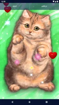 Cute Fluffy Cat Live Wallpaper Screen Shot 6