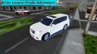 Prado Car Games Free Drive Screen Shot 1