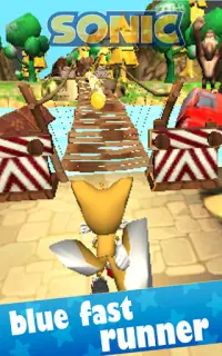 Blue Fast Hedgehog : Jungle Run Adventure Screen Shot 6