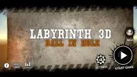 Labyrinth 3D Ball In Hole-2020 Screen Shot 0