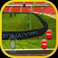 3D Fußball echten Spiel Screen Shot 0