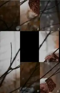 Unpuzzle: Sliding Puzzle Screen Shot 1