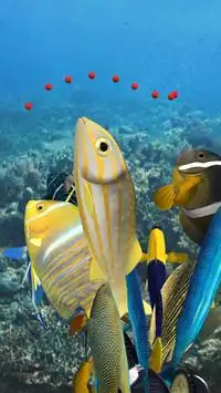 Happy Fish 3D Screen Shot 6