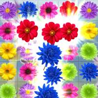Flower Blossom Crush: Garden Puzzle Mania Match 3