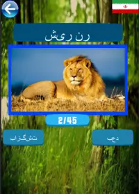 تعلم أسماء الحيوانات Screen Shot 0