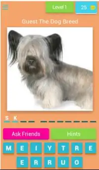 Guess The Dog Breed Screen Shot 0
