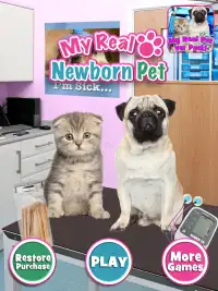 My Real Newborn Pet Vet - Pugs & Kittens FREE Screen Shot 5