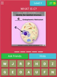 Anatomy Online Quiz: Cell and Organelles Screen Shot 9