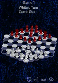 Hexagonal Chess Pass and Play Screen Shot 2