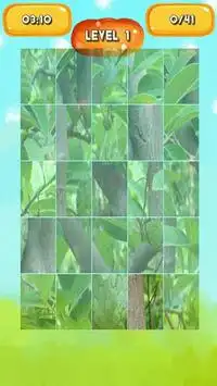 Custard apple Jigsaw Puzzles Screen Shot 2