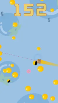 Cute Bear Fly - Gravity Game Screen Shot 1