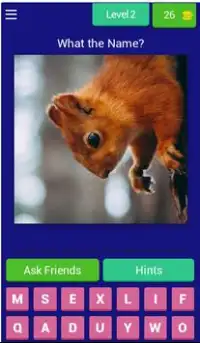 Animal Quiz Screen Shot 2